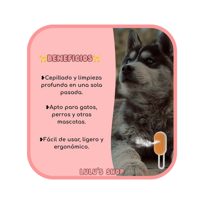 cepillo de vapor para mascotas